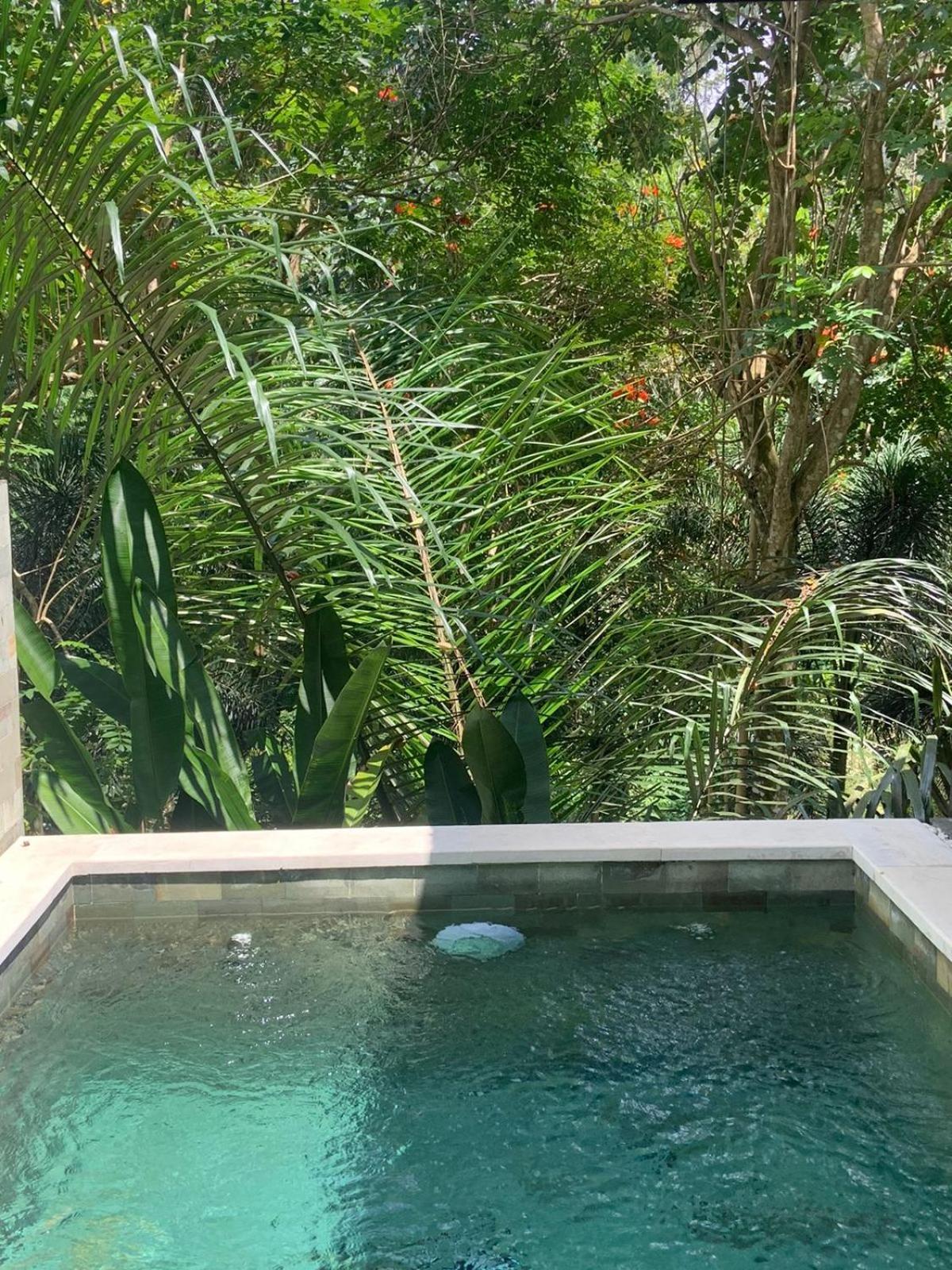 Ubud Hills Villas & Resort Tegallalang  Exterior photo